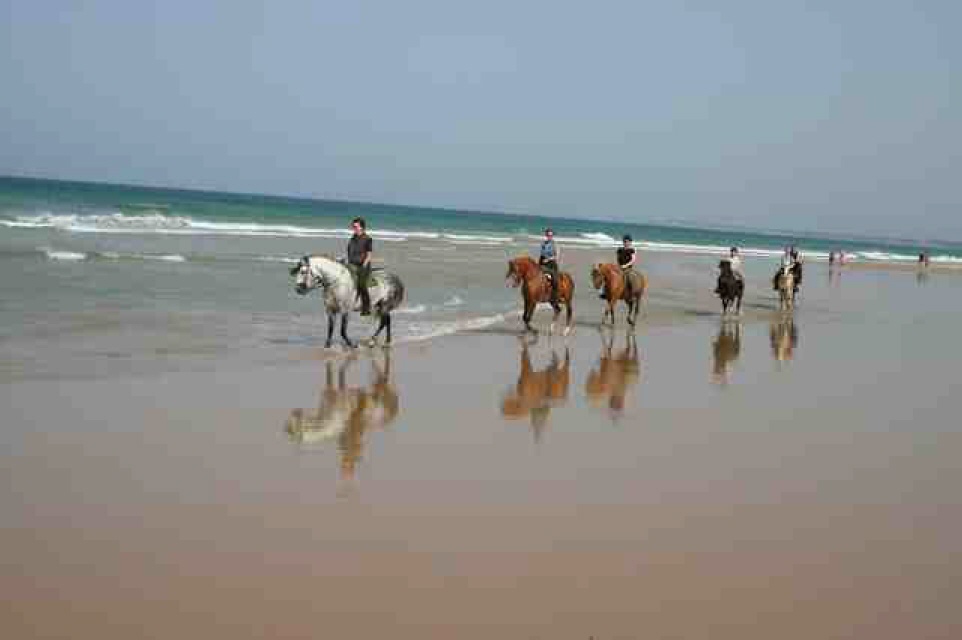 Ritt am Strand